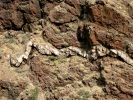 PICTURES/Barnhardt Trail/t_Interesting Formation2.jpg